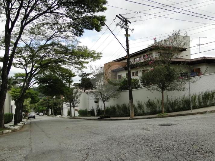 Foto REO135579