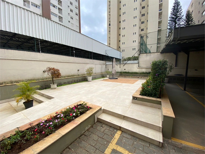 Foto REO136436
