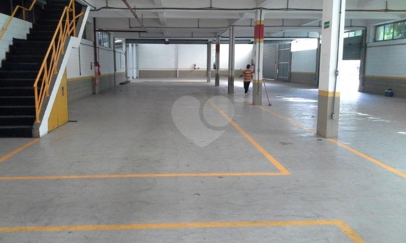 Foto REO136549