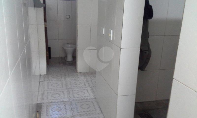 Foto REO136549