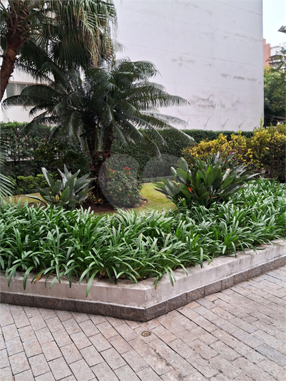 Foto REO136979