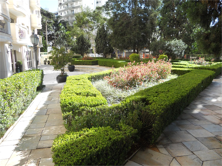 Foto REO136989