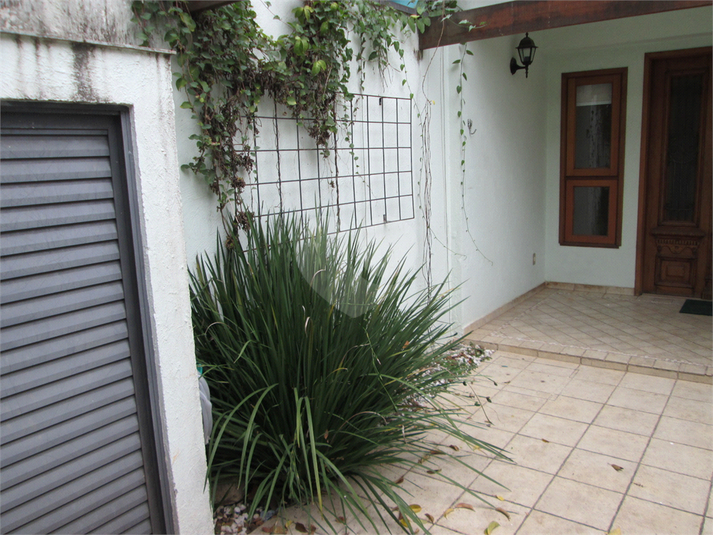 Foto REO137530