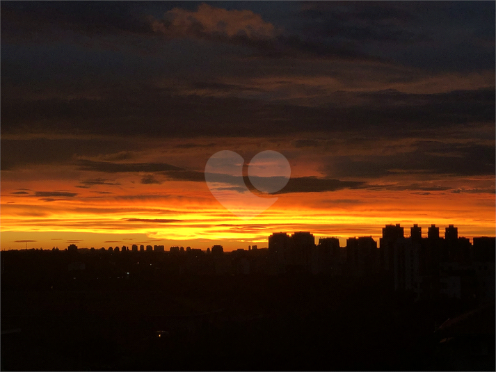 Foto REO137920