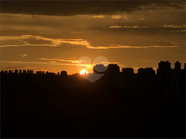 Foto REO137920