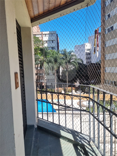 Foto REO138748