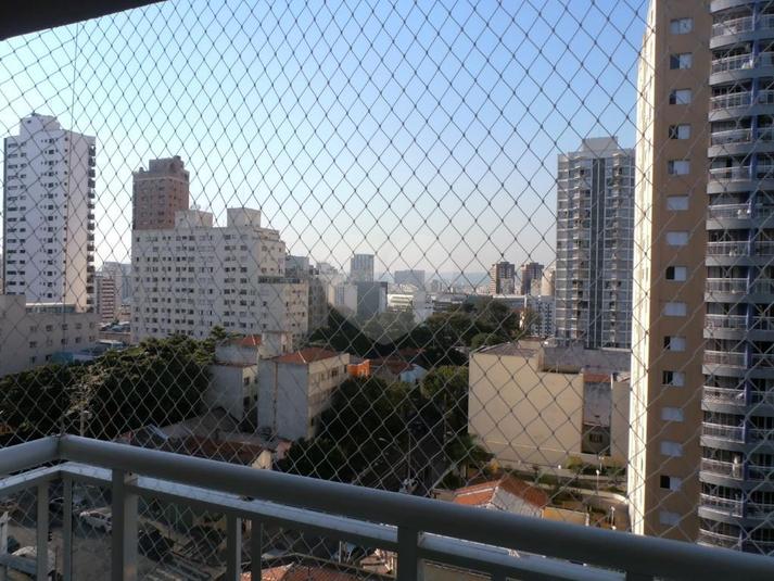 Foto REO138976