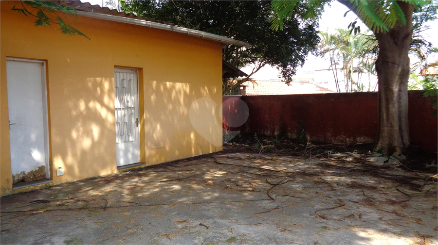 Foto REO139374
