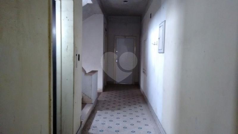 Foto REO139516