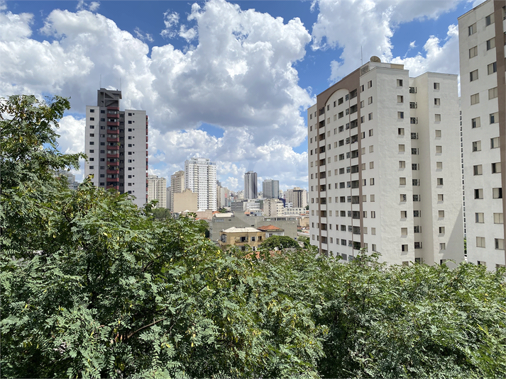 Foto REO139955