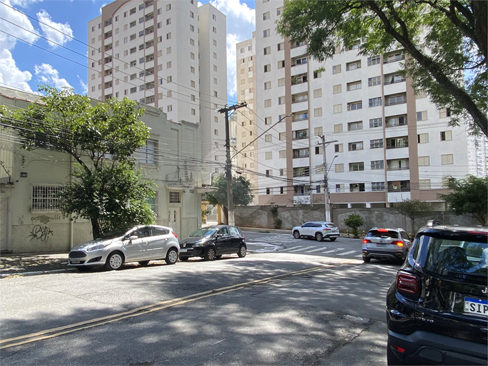 Foto REO139955