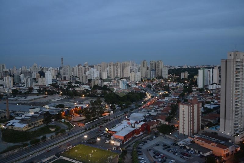 Foto REO140592
