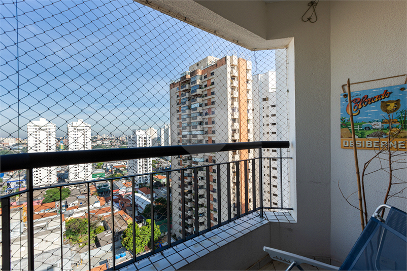 Foto REO141381