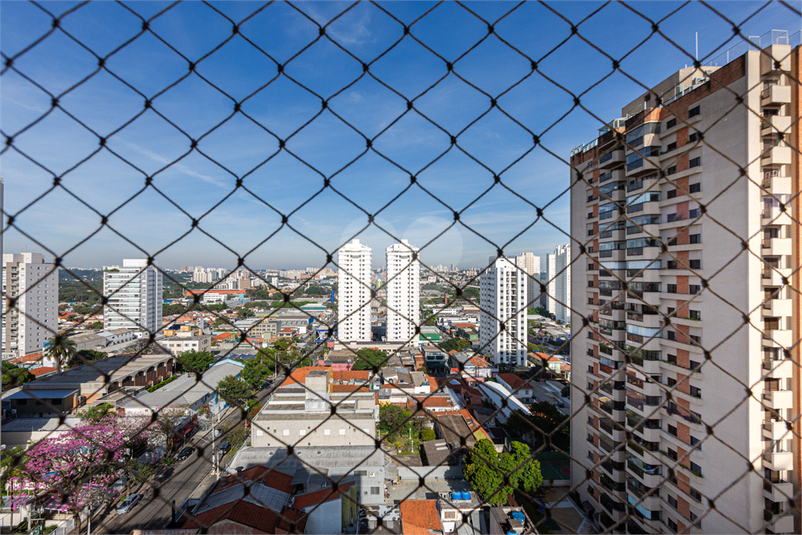 Foto REO141381