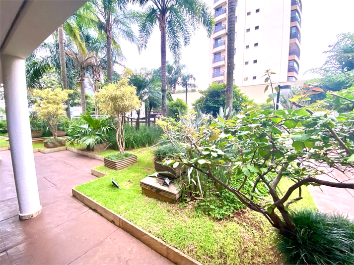 Foto REO141452