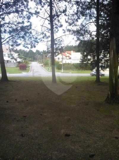 Foto REO14149