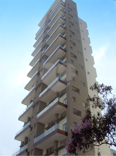 Foto REO141689