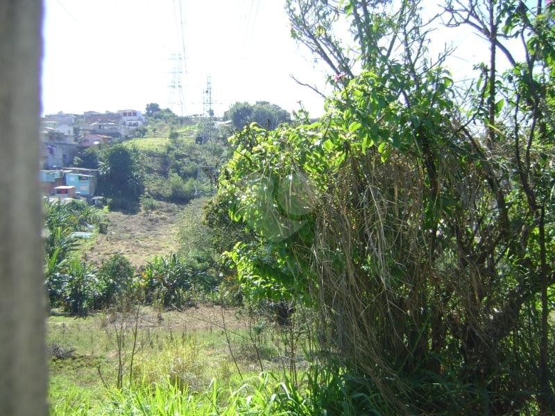 Venda Terreno São Paulo Jardim Jaraguá (são Domingos) REO141883 5