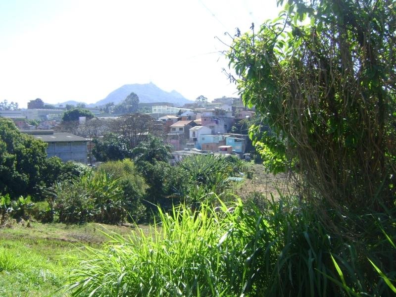 Venda Terreno São Paulo Jardim Jaraguá (são Domingos) REO141883 7