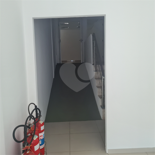 Foto REO142231