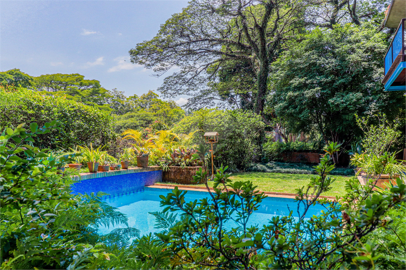 Foto REO142472