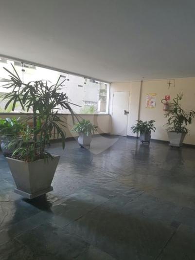 Foto REO142596