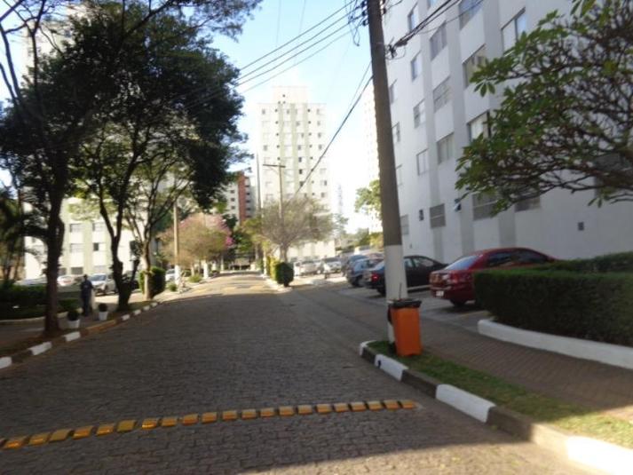 Foto REO142805