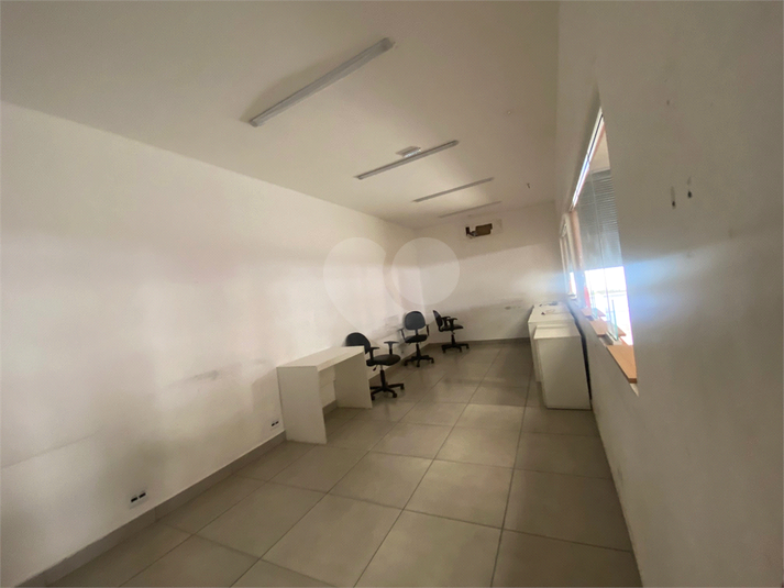 Foto REO14281