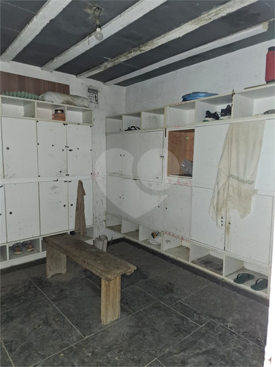Foto REO143377