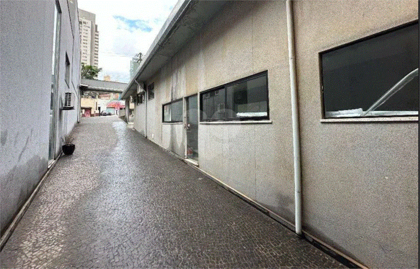 Aluguel Loja São Paulo Alto Da Lapa REO143377 50