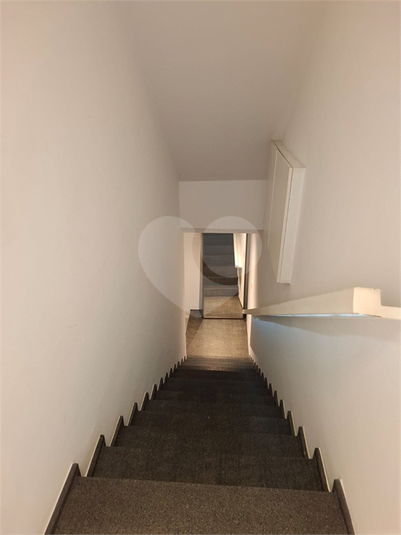 Foto REO143377