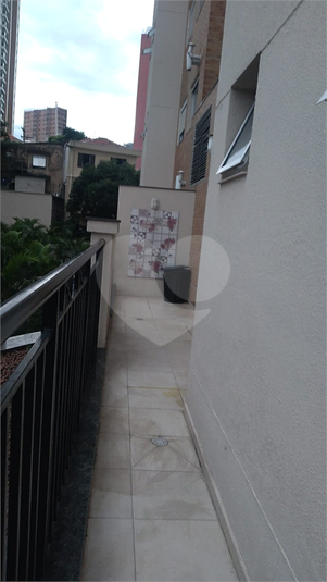 Foto REO143527