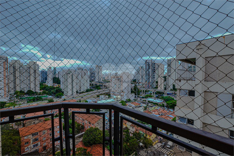 Foto REO143591