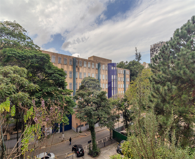 Foto REO145269