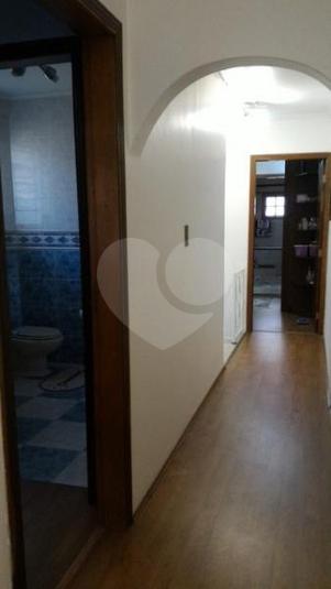 Foto REO145293