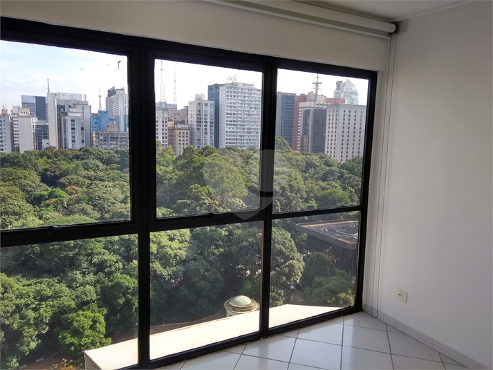 Foto REO145354