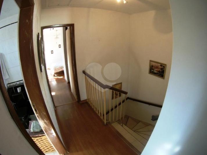 Foto REO145691