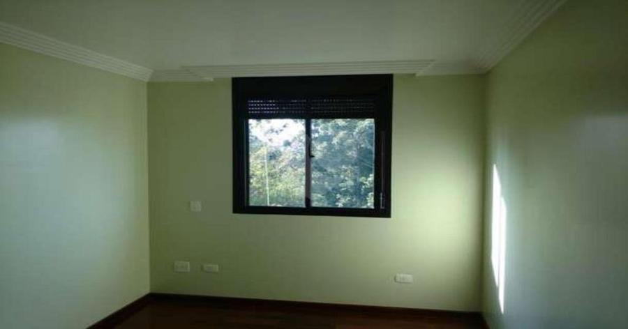 Foto REO145871