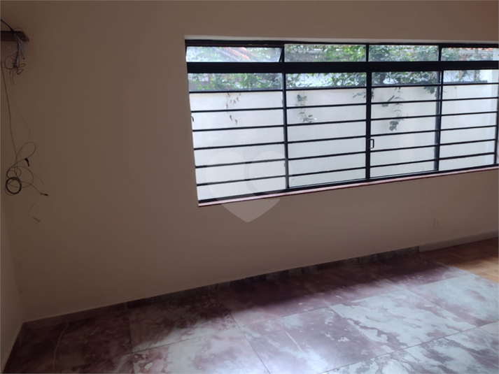 Foto REO146451