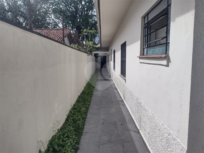 Foto REO146451