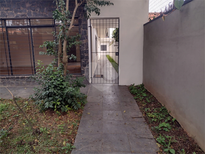 Foto REO146451