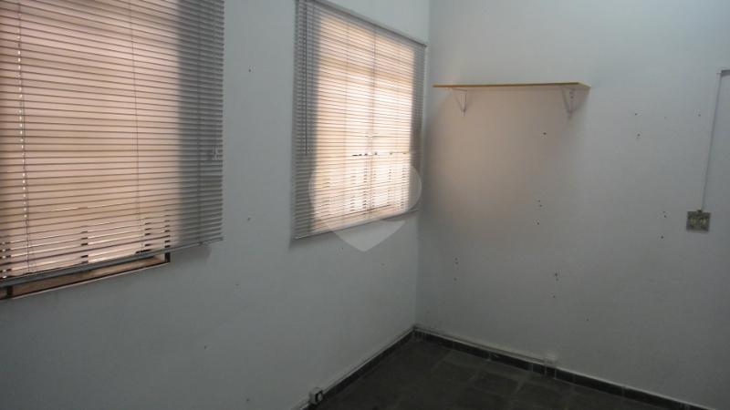 Foto REO147253