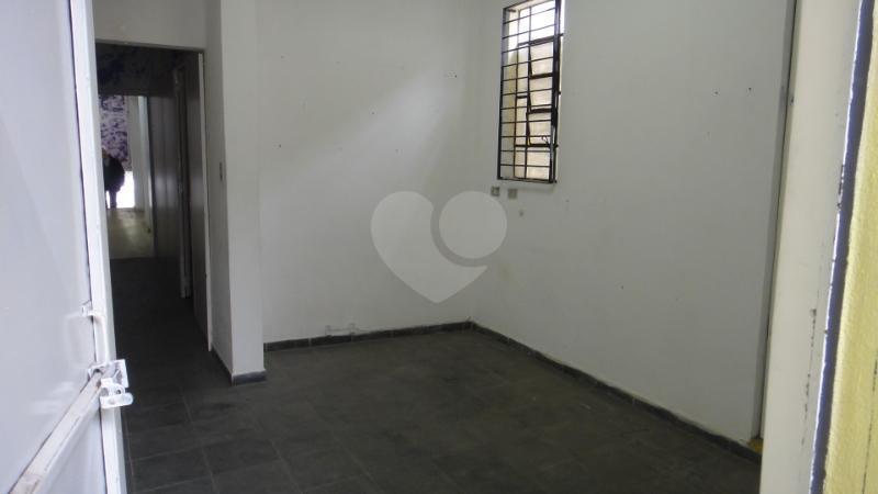Foto REO147253