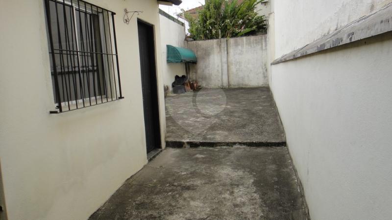 Foto REO147253