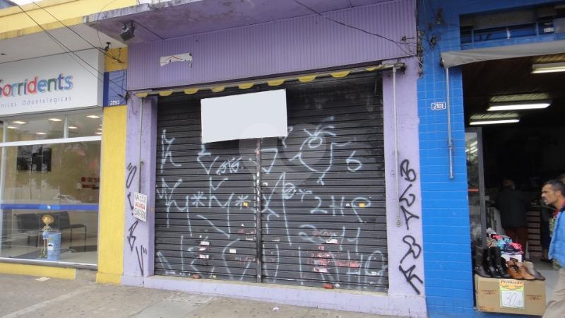 Foto REO147253