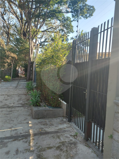 Foto REO147264