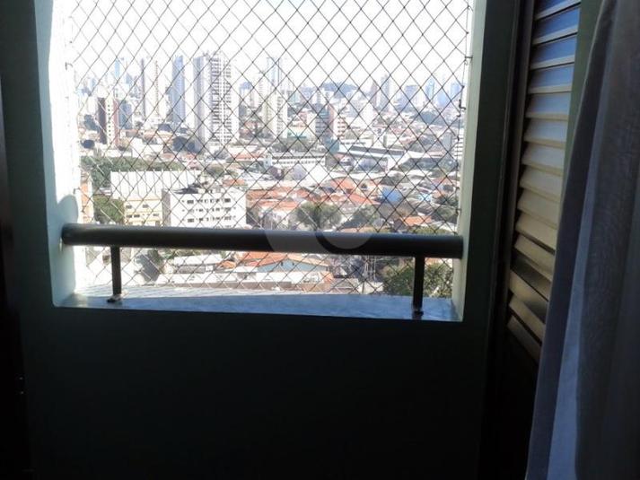 Foto REO147284
