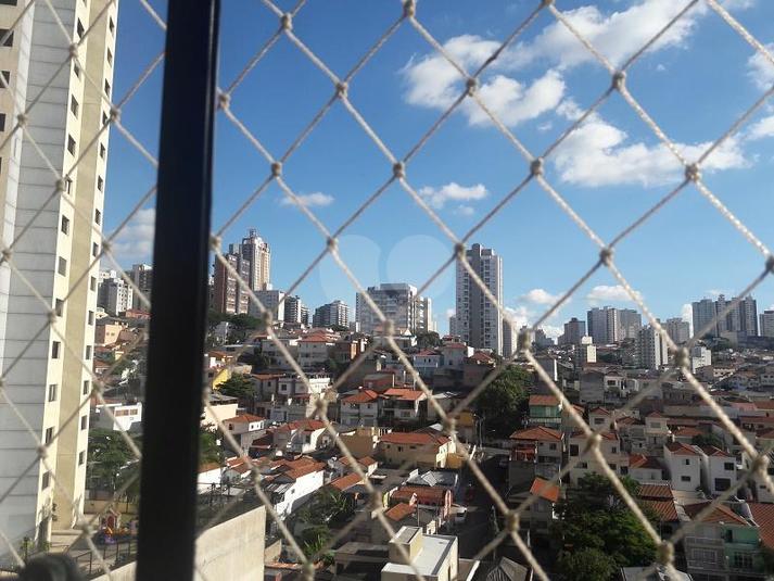 Foto REO147360