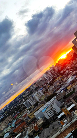 Foto REO14956