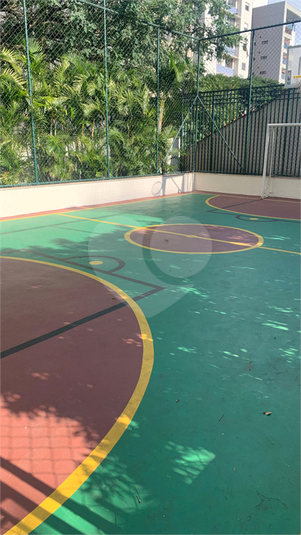 Foto REO150479